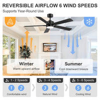 Airsurfer