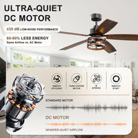 52 Inch 5 Blade Farmhouse Ceiling Fan with Light and Remote