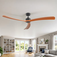 AIRsurfer