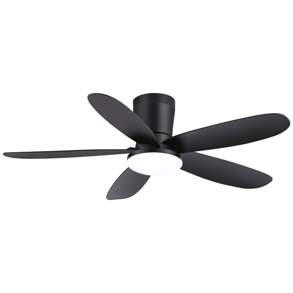 AIRsurfer