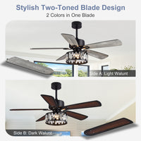 AIRsurfer
