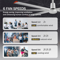 AIRsurfer