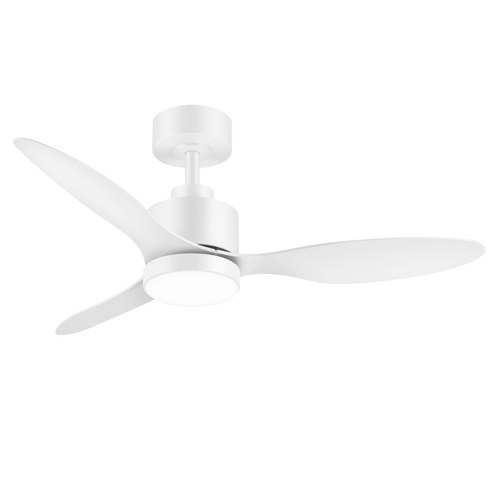 AIRsurfer
