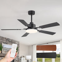 AIRsurfer