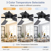 AIRsurfer