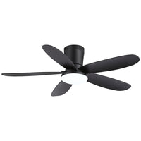 AIRsurfer