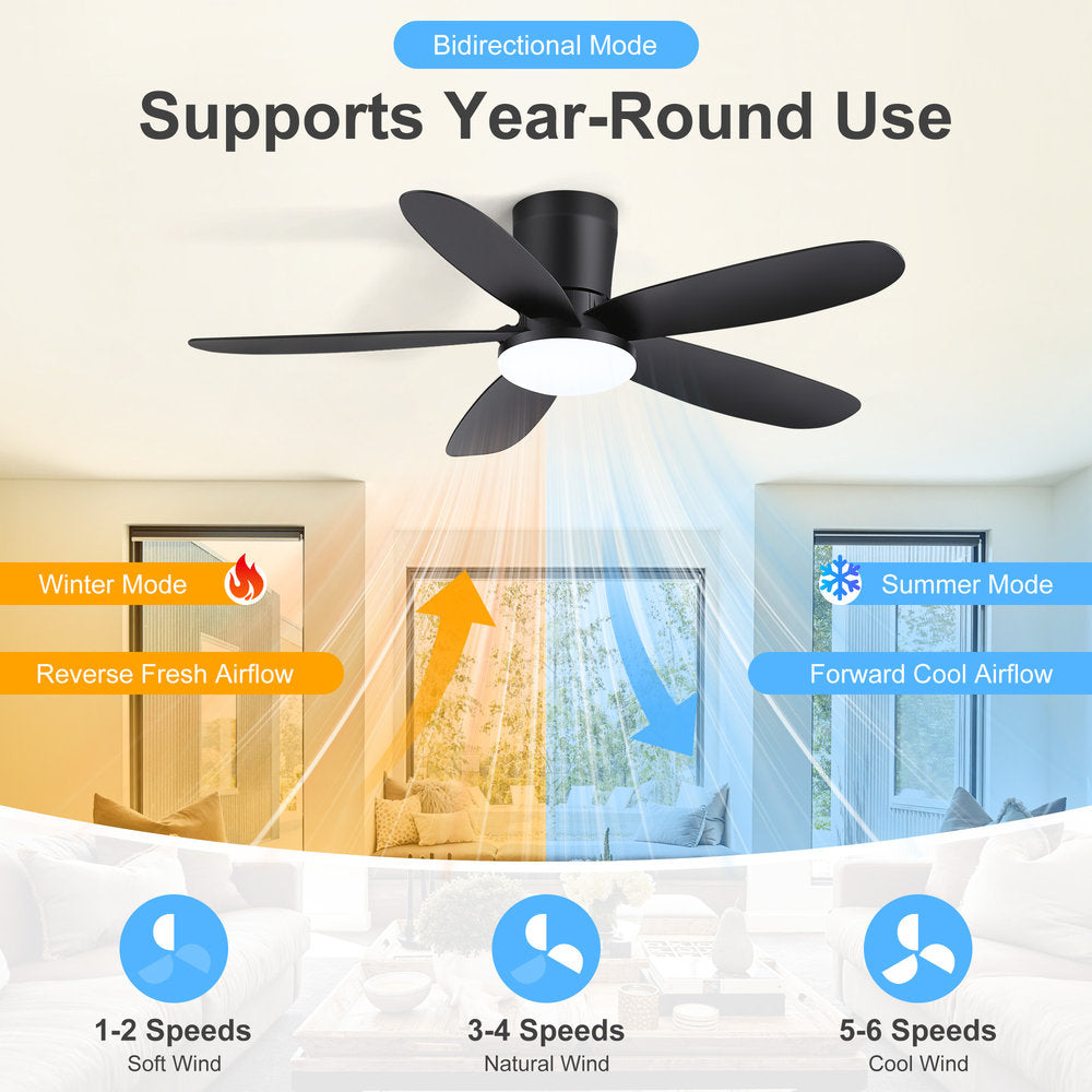 AIRsurfer