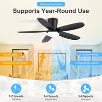 AIRsurfer