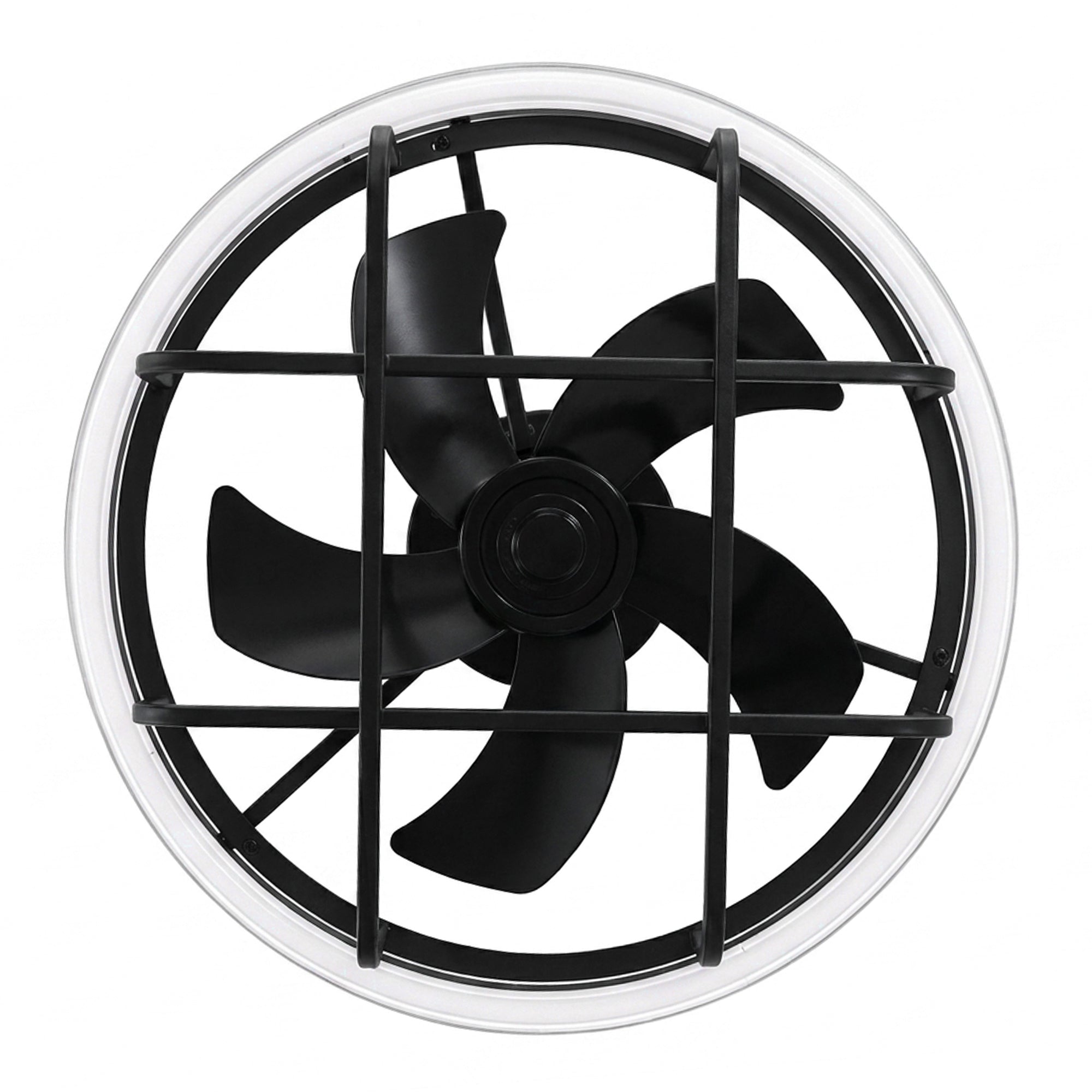 AIRsurfer