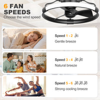 AIRsurfer